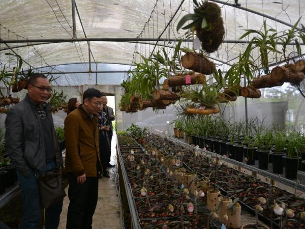 广西职业技术学院院长李卫东带队到广西热作所考察学习