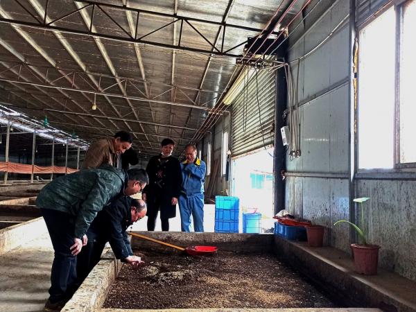 南宁剑麻试验站团队成员到广西农科环保科技有限公司调研