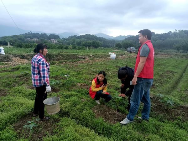 广西热作所科技特派员赴兴宁区昆仑镇开展科技服务