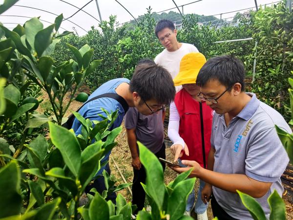 广西热作所科技人员赴桂林市开展“党旗领航 科技引领”乡村振兴行动技术服务