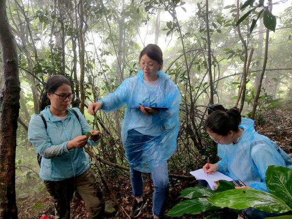 广西热作所茶叶创新团队南宁综合试验站赴贵港市开展科技服务