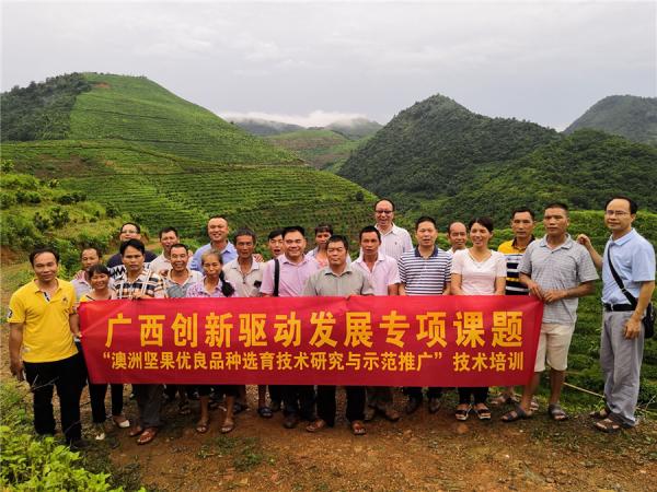 广西热作所科技人员赴百色地区调研广西创新驱动发展专项澳洲坚果课题建设