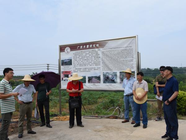 广西热作所顺利开展2020年科研检查工作