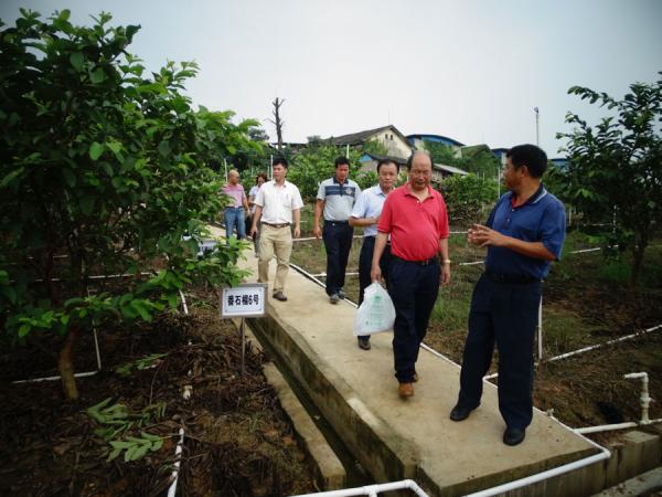 广西热作所番石榴种质资源圃通过农业部认定评审