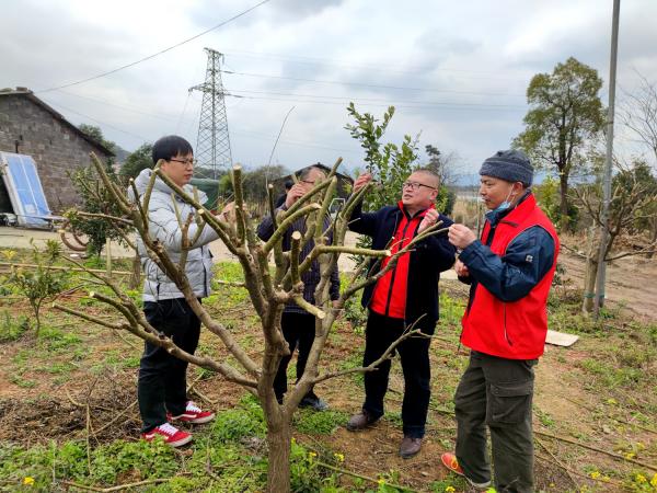 广西热作所科技人员赴全州县开展“抗低温、防冰冻、促春耕” 技术服务