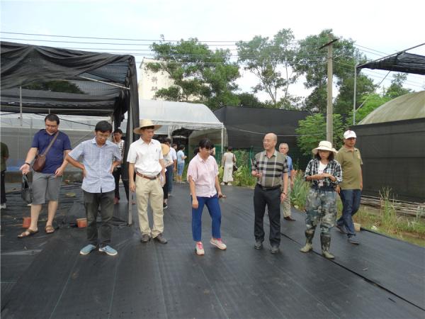 广西热作所顺利开展2018年度中期科研检查工作