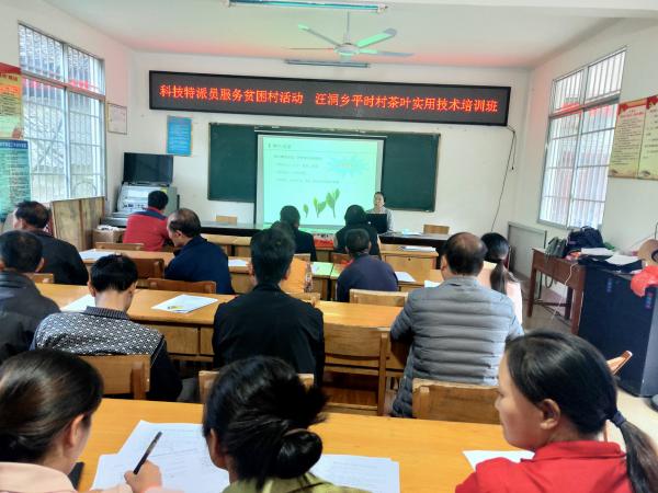 广西热作所科技特派员赴融水县开展技术培训及服务工作
