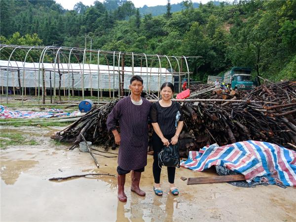 广西热作所贫困村科技特派员参加柳州市食用菌技术培训并到贫困村菌棒厂指导