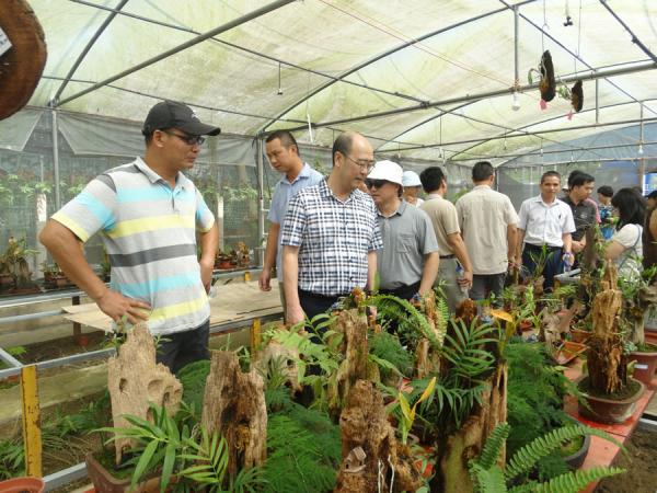 广西热作所隆重开展科研生产大检查工作