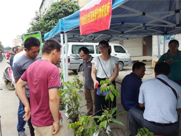 广西热作所科技人员参加科技特派员服务精准扶贫工作会