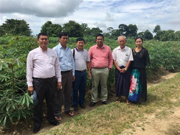 广西热作所科技人员赴缅甸宣贯中国木薯标准