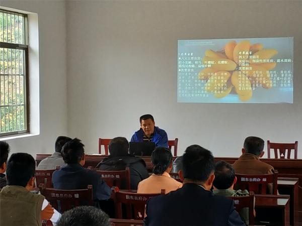 广西热作所专家在田东县思林镇新圩村举办杧果产业扶贫技术培训班
