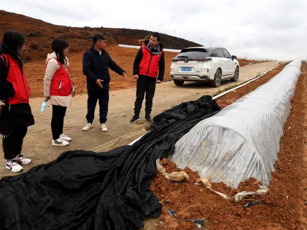 广西热作所科技特派员赴上林县开展“抗低温、防冰冻、促春耕〞科技下乡活动