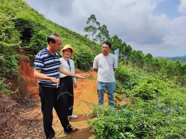 广西热作所特色水果产业科技先锋队到北流市开展技术服务