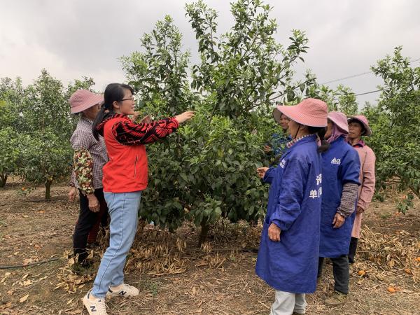 广西热作所科技特派员赴武鸣开展“科技支农促春耕”服务活动