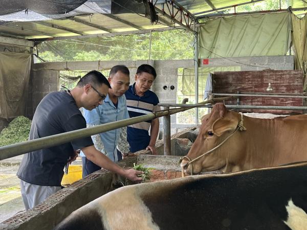 国家麻类产业技术体系南宁剑麻试验站赴平果市开展技术服务