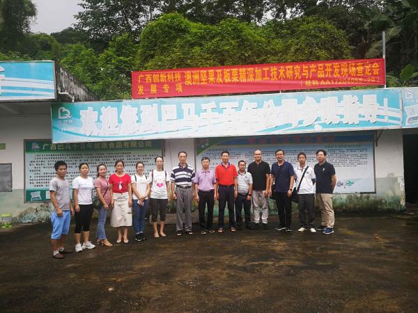 广西热作所承担的广西创新驱动发展重大专项课题“澳洲坚果及板栗精深加工技术研究与产品开发”通过现场查定
