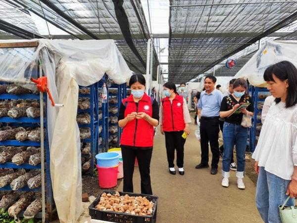 广西热作所应邀参加融水县2022年乡村振兴科技特派员工作会议