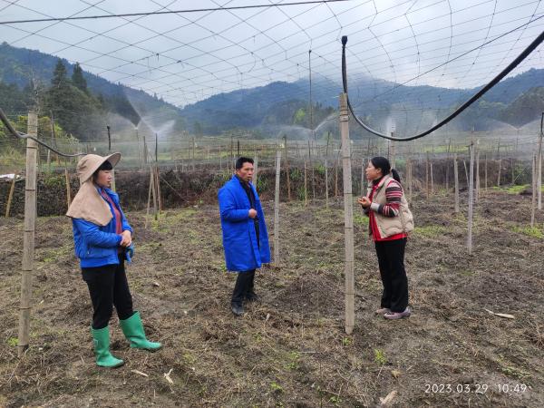 广西热作所加工工程技术中心党支部赴融水开展“党旗领航、科技引领”乡村振兴活动