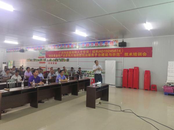 广西热作所融安金桔研究课题组科技人员赴融安县开展技术培训