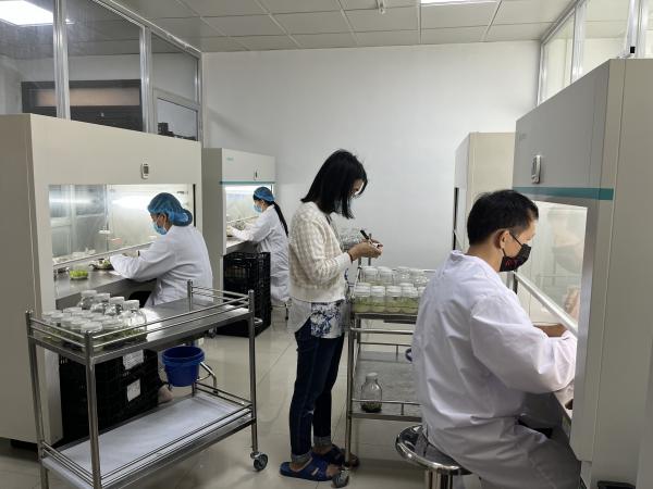 广西热作所科技人员赴青秀山开展“党旗领航 科技引领”乡村振兴行动技术服务