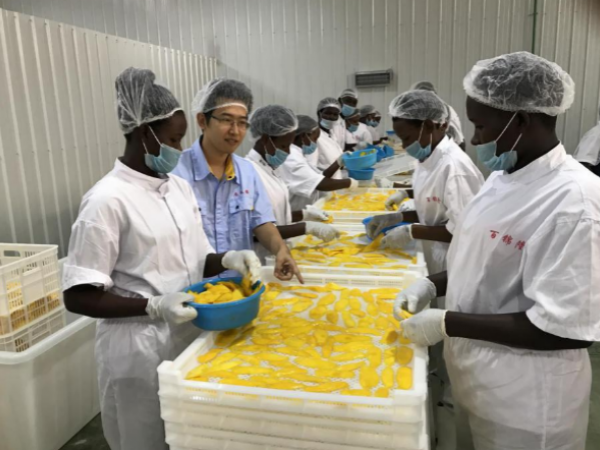 广西新闻网:黎新荣:专注水果贮藏与加工技术 做一颗永不生锈的螺丝钉