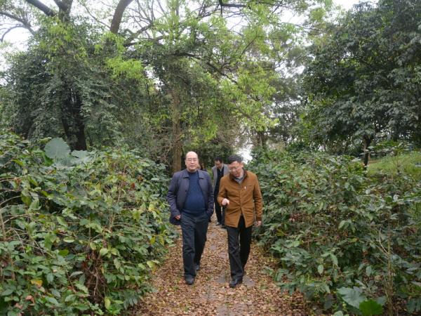 广西职业技术学院院长李卫东带队到广西热作所考察学习