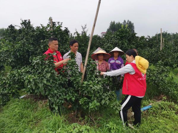 科技特派员到田间“传经”