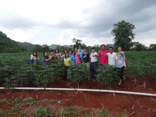 广西木薯所科技人员赴泰国考察引种