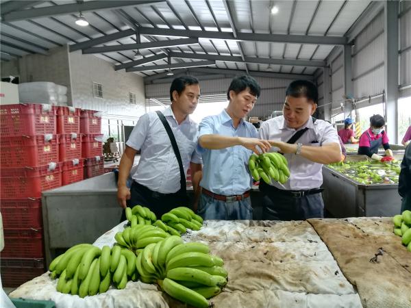 广西热作所副所长庞新华带队赴台湾屏东科技大学开展科技交流