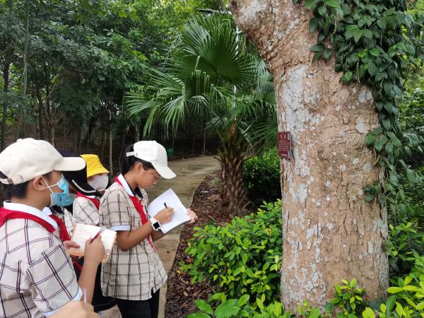 广西热作所开展的全国科普日热带农业主题活动荣获中国科协和广西科协优秀活动