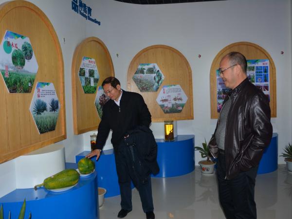 农业部农垦局胡建锋副局长到广西热作所参观考察