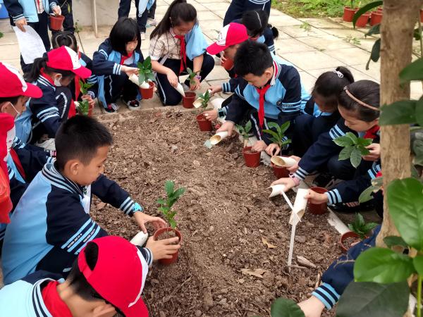 广西热作所开展2023年春季科普研学活动