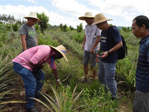 澳大利亚昆士兰大学Olufemi Akinsanmi博士应邀到广西热作所开展学术交流活动