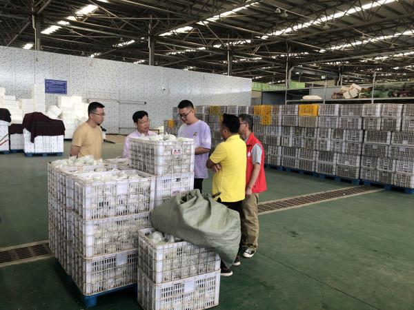 广西热作所农产品精深加工产业科技先锋队赴北流市开展科技服务