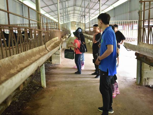 广西热作所承担的广西重点研发计划项目“剑麻麻渣麻水资源化利用关键技术研究与示范”通过现场查定