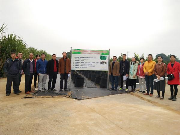 广西热作所坚果中心科技人员赴龙州县开展广西创新驱动发展专项实施情况调研