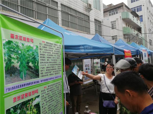 广西热作所科技人员参加科技特派员服务精准扶贫工作会