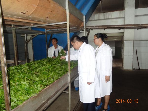 热作所科技人员赴云南农垦开展农产品质量追溯技术服务工作