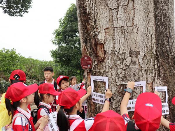 南宁市翡翠园小学到广西亚热带植物园开展春季研学活动