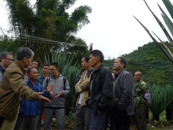 南宁剑麻试验站“石漠化地区剑麻种植技术培训班”在旧城镇同利村举办