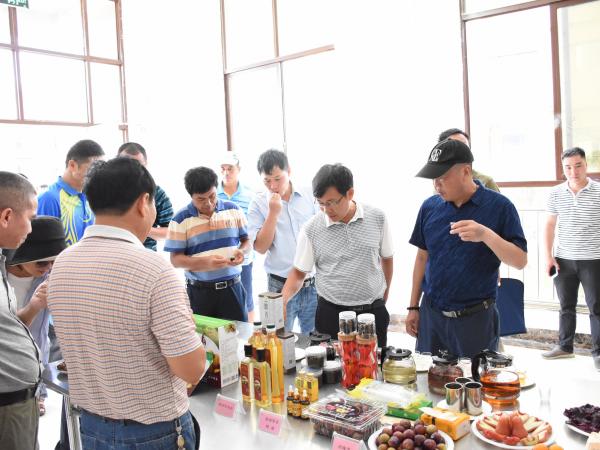 广西热作所顺利开展2020年科研检查工作