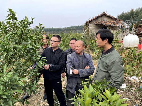 国家麻类产业技术体系南宁综合试验站专家赴武鸣开展科技支农促春耕活动