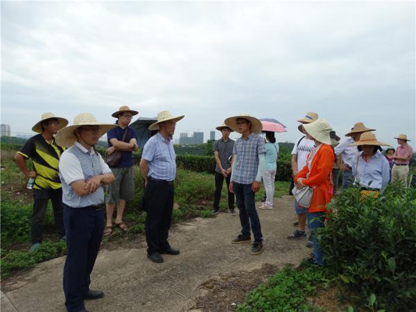 广西热作所顺利开展2018年度中期科研检查工作