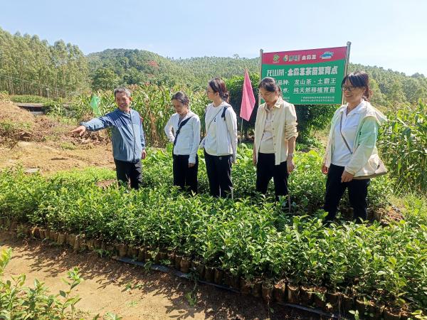 广西茶叶产业科技先锋队及茶产业服务团赴贵港市开展科技服务