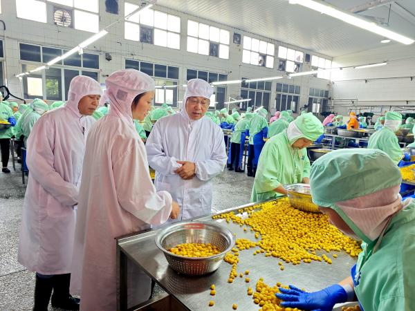 广西热作所农产品精深加工产业科技先锋队赴桂柳开展技术服务