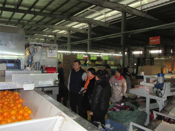 广西热作所科技特派员到贺州富川县进行科技服务工作