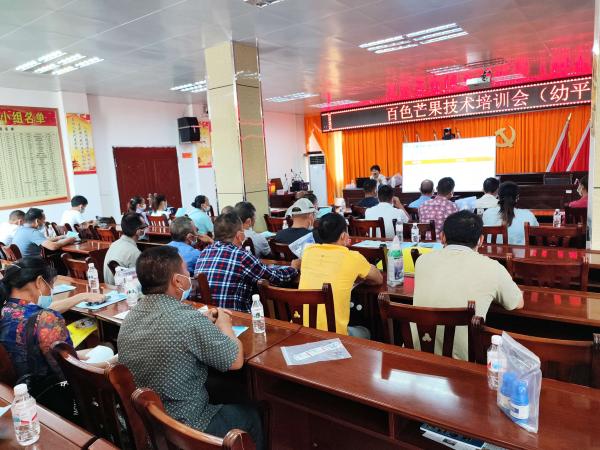 芒果采后技术与质量安全岗位功能专家团队赴乐业县开展技术服务