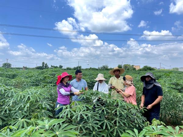 国家木薯产业技术体系岗站赴桂平市开展科技下乡活动