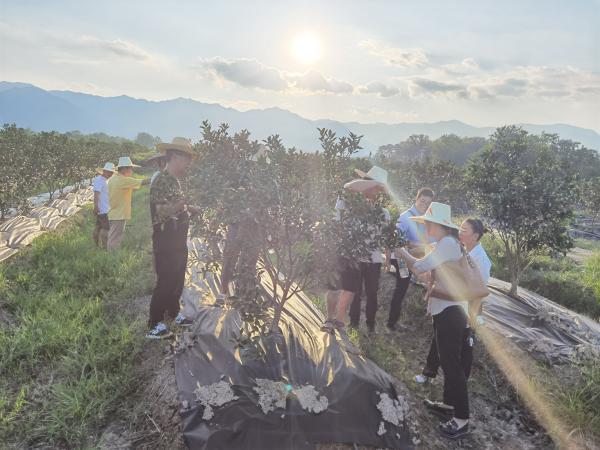我为群众办实事--广西热作所科技特派员服务团队赴桂林全州开展科技需求征集和送技术服务活动